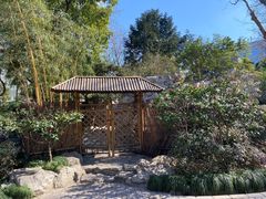 -静安公园(静安寺街道)