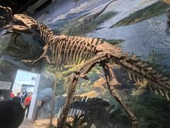 -自贡恐龙博物馆