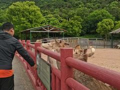 -无锡动物园·太湖欢乐园