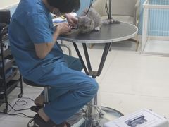 -天宠宠物医院24小时·急重症诊疗中心·全科·腔镜特色(和平分院)