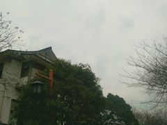 -西湖风景区十里琅珰-五云山