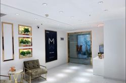 -MIVI野生眉纹绣纹眉