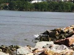 -宝安西湾红树林湿地公园