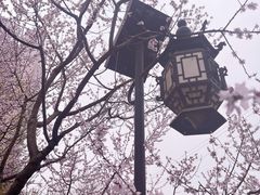 -碑林公园