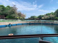 -天津湾西餐厅(三亚海棠湾洲际度假酒店)