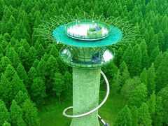 -黄海国家森林公园