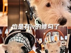 -LV路易威登(王府井半岛酒店)