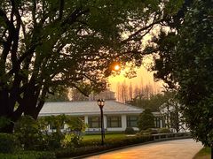 -棕榈岛海鲜自助餐厅(虹桥迎宾馆店)