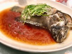 -海都六福酒家(世博广场店)