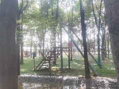 -草根堂农场