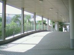 -上海中医药大学附属曙光医院(东部)