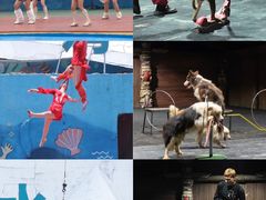 -汕头蓝水星欢乐世界