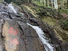 -莫干山风景区