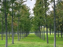 -汉长安城未央宫国家考古遗址公园