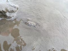 -奉贤海滩