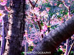 -静安雕塑公园