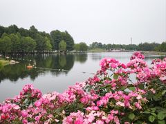 -上海辰山植物园