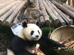 -徐六孃正宗甜皮鸭(张公桥店)