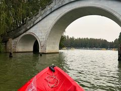 -上海海湾国家森林公园