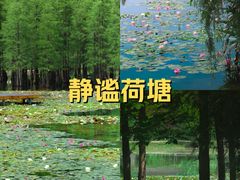 -白鹭湾湿地公园