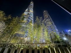 -上海柏悦酒店