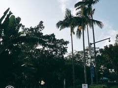 -炮台山公园