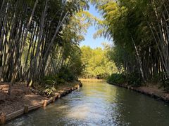 -同里国家湿地公园
