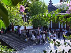 -华清宫景区