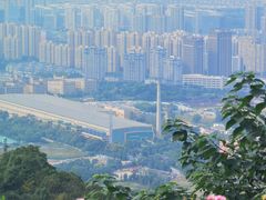 -杭州半山国家森林公园