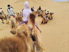 -银肯塔拉沙漠生态旅游景区