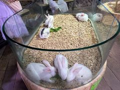 -正佳雨林生态植物园
