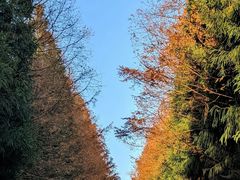 -山王坪喀斯特国家生态公园