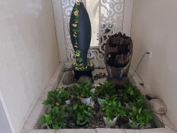 -伊芙世家美颜美养SPA