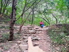 -北京西山国家森林公园