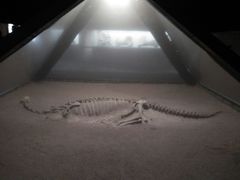 -世界恐龙谷景区