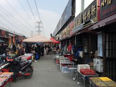 -中环花鸟鱼虫市场
