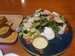 布拉格农家沙拉配烟熏-布拉格餐厅· 中欧捷克菜(全国首店)