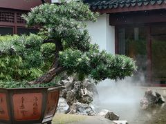 -苏州吴宫泛太平洋酒店