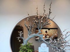 -不凡脑禅境·养生·舒压调理SPA(华发世纪城店)