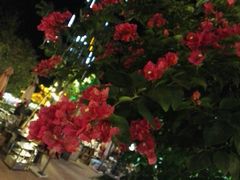 -楠柏弯休闲山庄(梨花溪店)