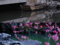 -艺圃