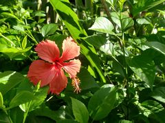 -金鸡岭桥头公园