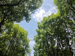 -上海吴淞炮台湾国家湿地公园