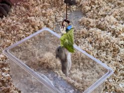 -萌宠亲子动物乐园(槐房万达店)