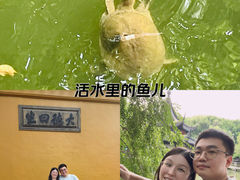 -西园寺素食(西园弄戒幢律寺店)