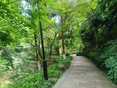 -杭州半山国家森林公园