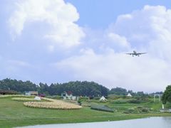 -空港花田景区