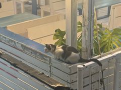 -濑长岛