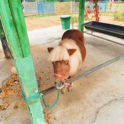 -萌宠亲子动物乐园(槐房万达店)