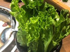生菜-快乐小羊·内蒙牛羊肉火锅(流花中心店)